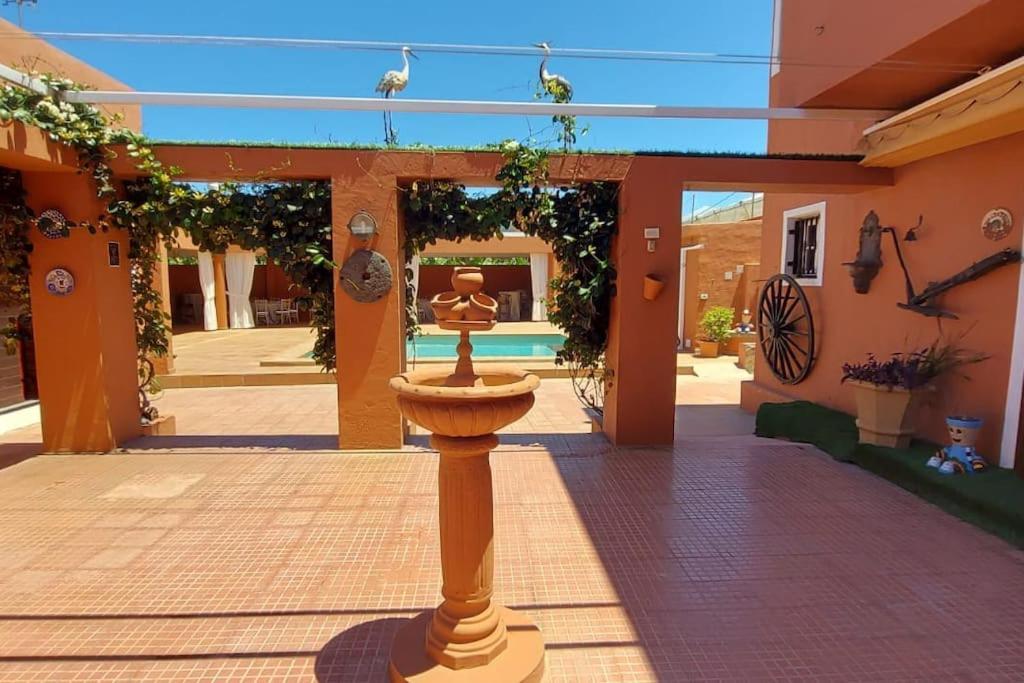 Finca David Galdar لاس بالماس دي غران كاناريا المظهر الخارجي الصورة